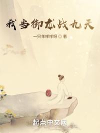 我当御龙战九天封面