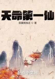 天命第一仙封面