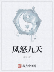 凤怒九天封面