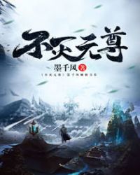 不灭元尊封面