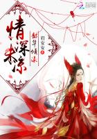 情深未凉韶华倾漾封面