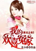 霸道总裁：我的欢喜冤家封面