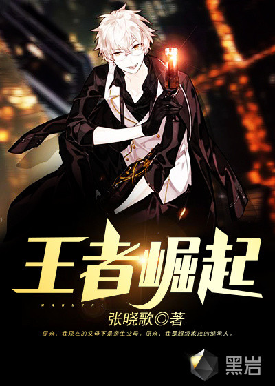 王者崛起封面