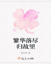 繁华落尽归故里封面