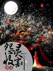 怨灵收割指南封面