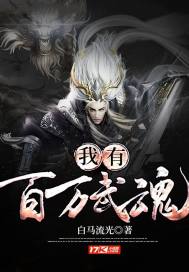 我有百万武魂封面