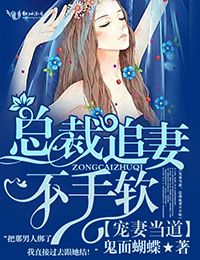 宠妻当道,总裁追妻不手软封面