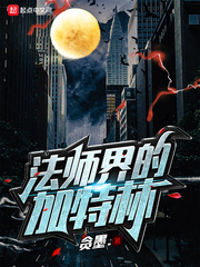 法师界的加特林封面