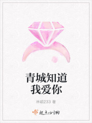 青城之情殇封面