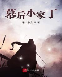 幕后小家丁封面