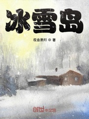 冰雪岛封面