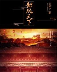 韶凤天下封面