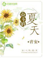 奋斗的夏天封面