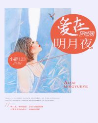 爱在明月夜封面