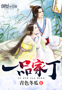 一品家丁封面