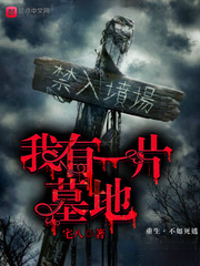 我有一片墓地封面