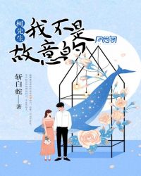 柯先生,我不是故意的封面