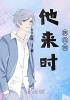 他来时携风雨封面