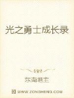 光之勇士成长录封面