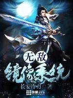 无敌镜像系统封面