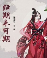 归期未可期封面