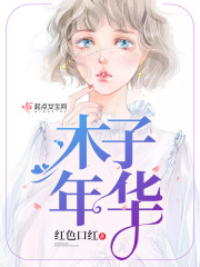 木子年华封面