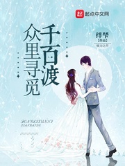 众里寻觅千百渡封面