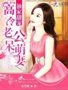 独家甜宠，高冷老公呆萌妻封面