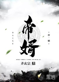 帝婿封面