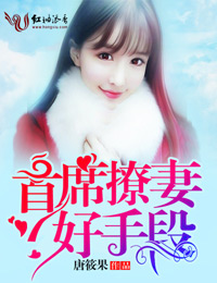 首席撩妻，好手段封面