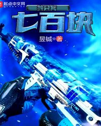 我只有七百块封面