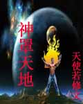 神罩天地封面