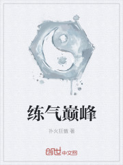 练气巅峰封面