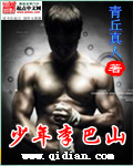 少年李巴山封面