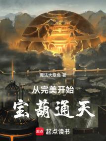 从完美开始：宝葫通天！封面