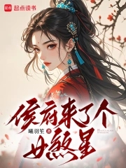 侯府来了个女煞星封面