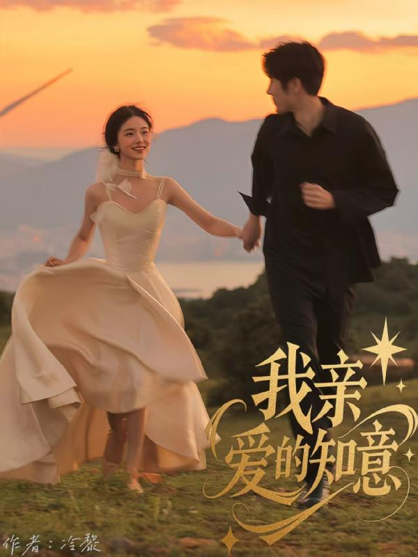 我亲爱的知意封面