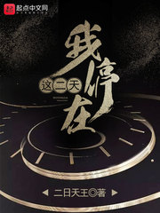 我停在这二天封面