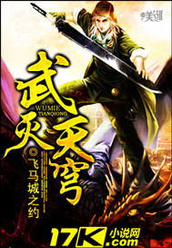 武灭天穹封面