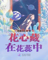 花心藏在花蕊中封面
