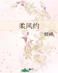 柔风约封面