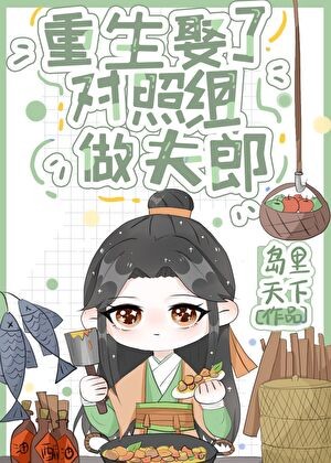重生娶了对照组做夫郎封面