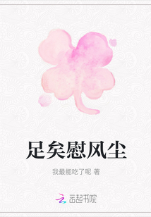 足矣慰风尘封面