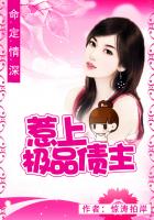 命定情深：惹上极品大债主封面