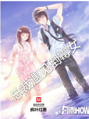 总裁遇见倒霉女封面