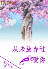 从未放弃过爱你封面