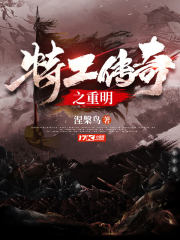特工传奇之重明封面