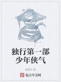 独行第一部少年侠气封面