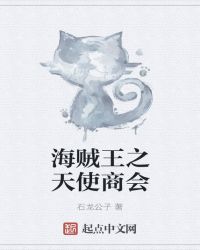 海贼王之天使商会封面