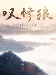 叹修狼封面